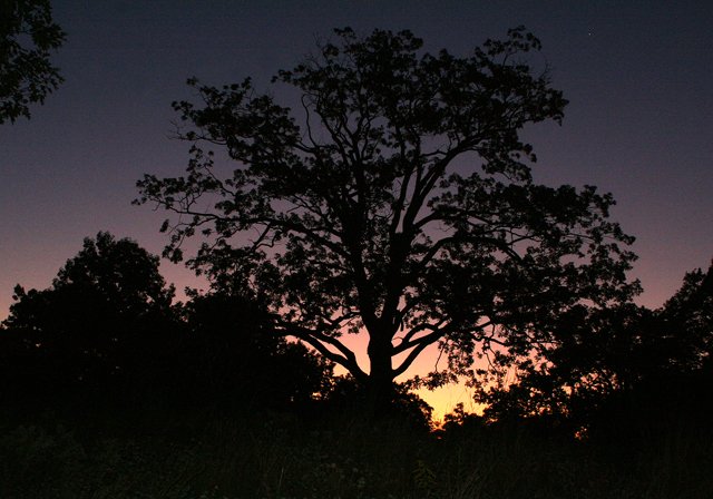 IMG_0419