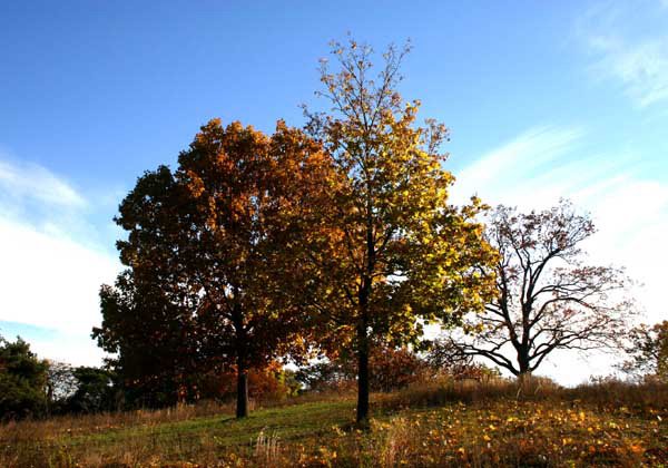 photo 0141