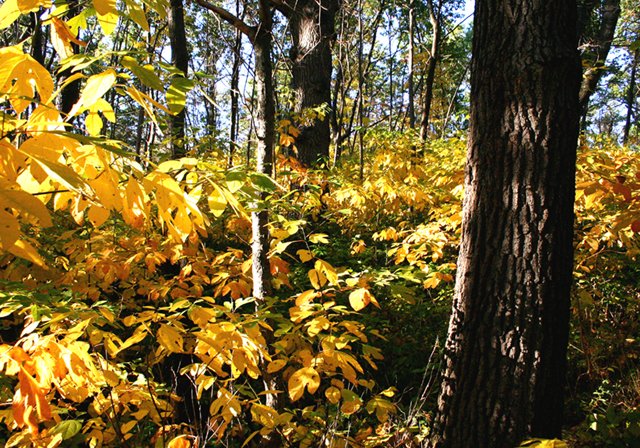 photo 0146