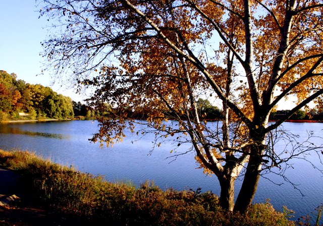 photo 0153