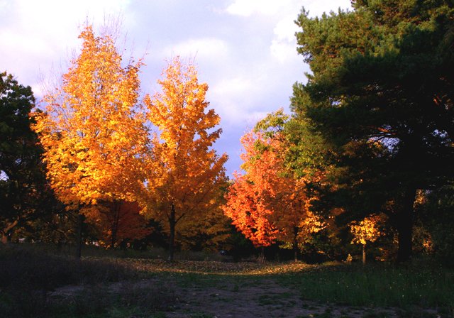 photo 0156