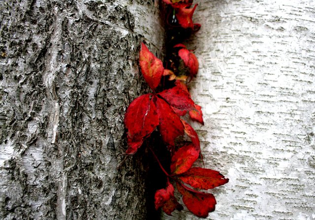 photo 0168