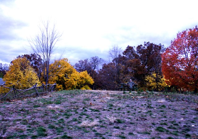 photo 0180