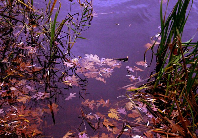 photo 0181