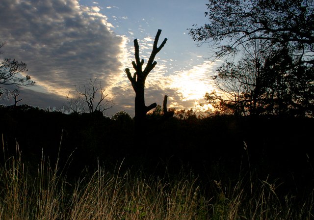 photo 0220