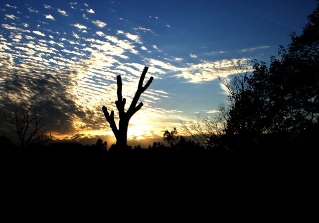 photo 0221