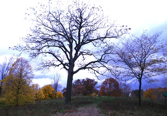 photo 0233