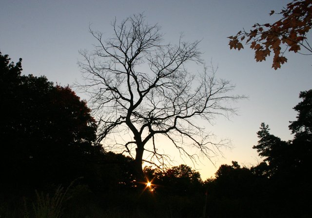 photo 0234