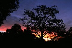 IMG_0420