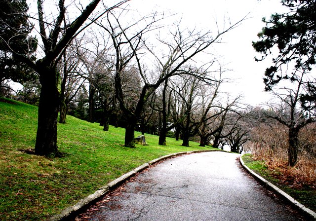 photo 0001