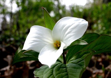 photo 0012