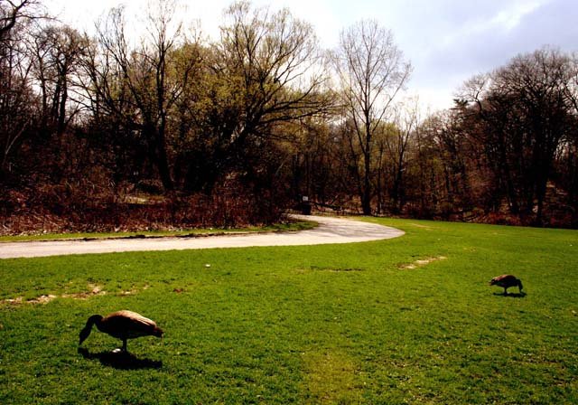 photo 0038