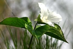 IMG_0361