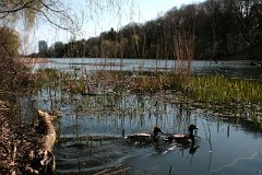 IMG_0470