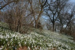 IMG_0476
