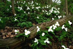 photo 0011