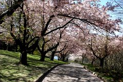 photo 0019