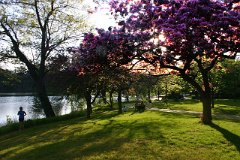 photo 0027