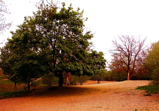 photo 0046