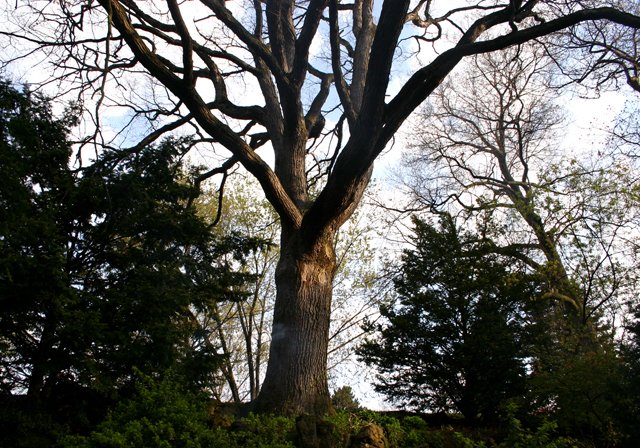 photo 0056