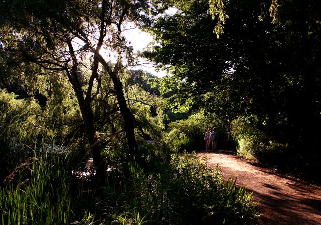 photo 0062