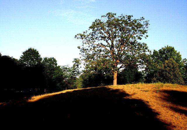 photo 0065