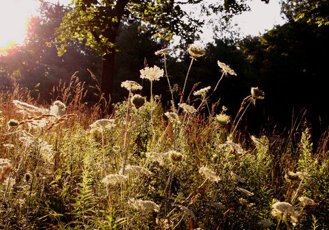 photo 0067