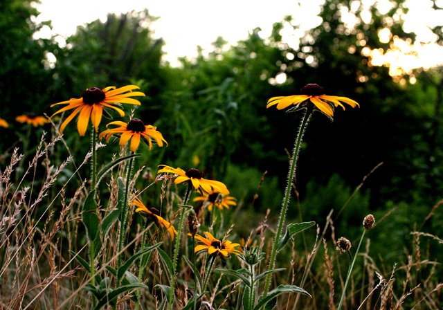 photo 0073