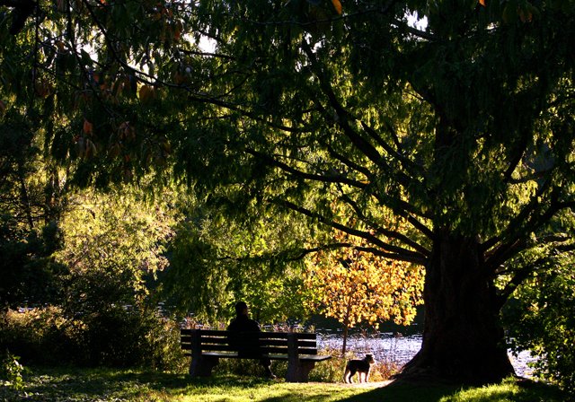 photo 0075