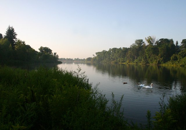 photo 0080