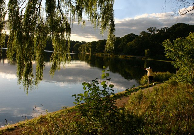 photo 0082