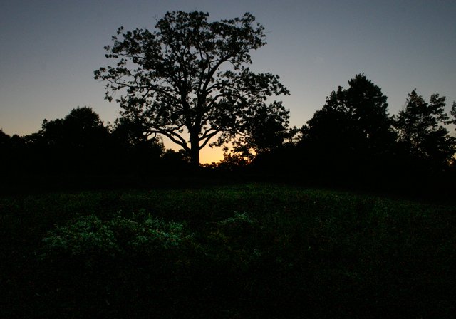 photo 0090