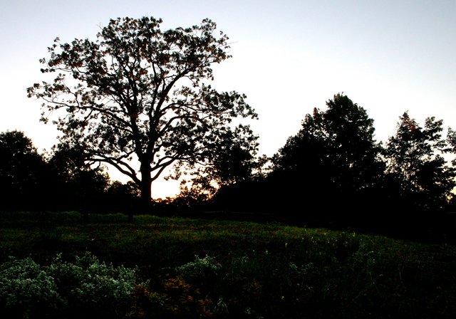 photo 0092