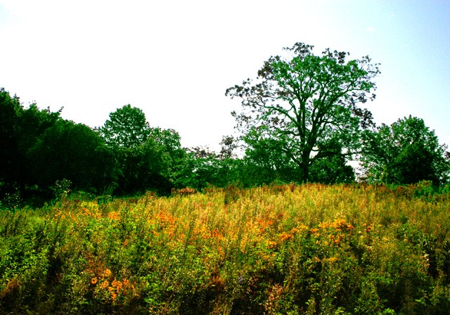photo 0093