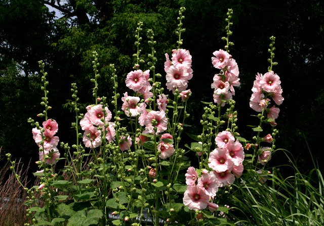 photo 0101
