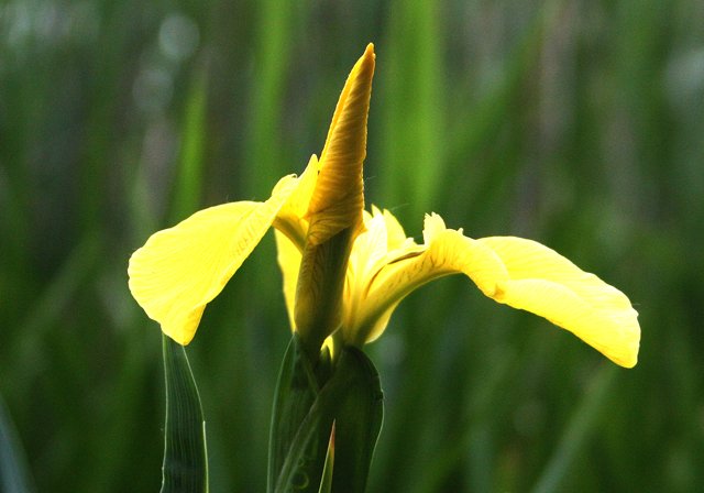 photo 0109