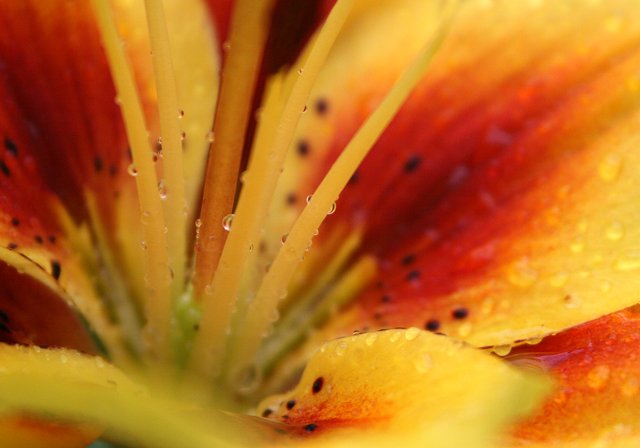 photo 0111