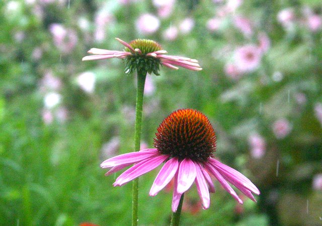 photo 0117