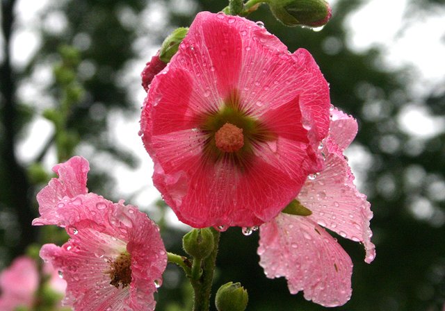 photo 0120