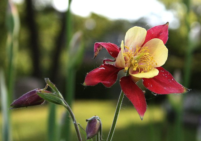 photo 0122