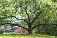 IMG_0403