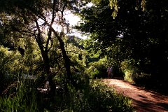 photo 0062