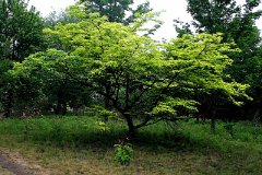 photo 0063