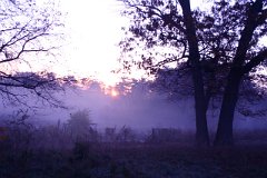 photo 0076