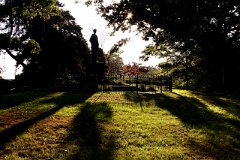 photo 0078