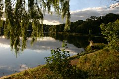 photo 0082