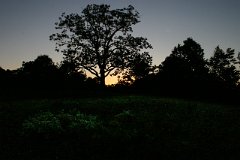 photo 0090
