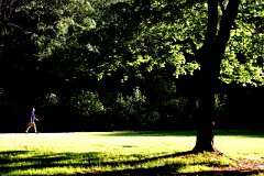 photo 0138