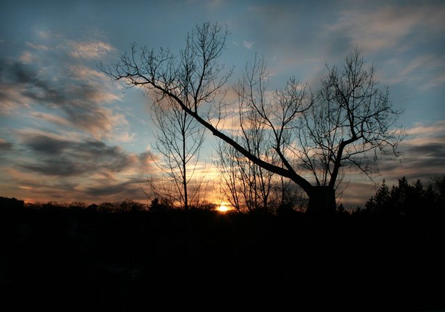 IMG_0465