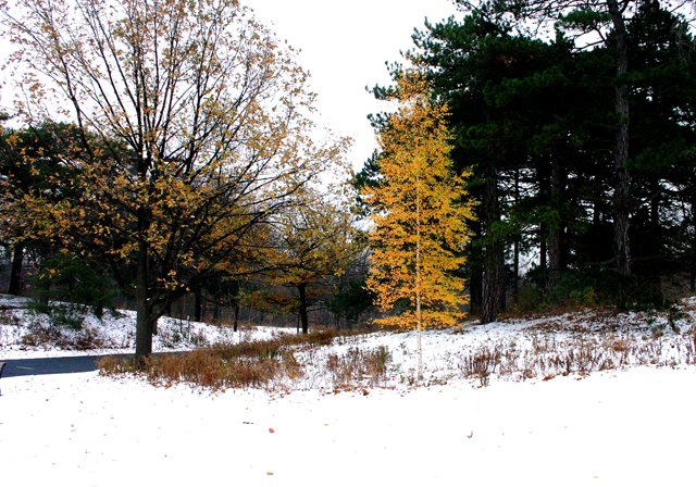 photo 0235